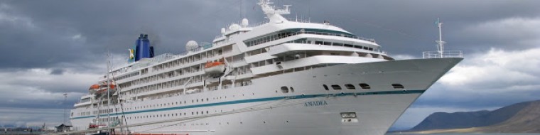 cropped-amadea_02.jpg